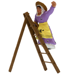 Picker of olives on the ladder