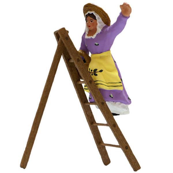 Picker of olives on the ladder