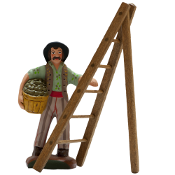 Picker of olives and his ladder