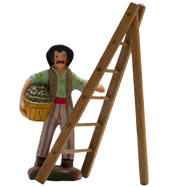 Picker of olives and his ladder