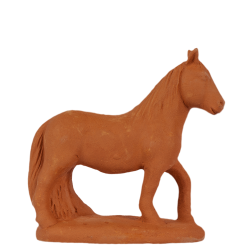 Camargue horse