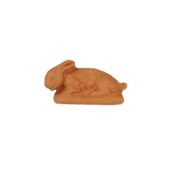 Rabbit lying