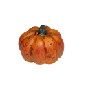 Courge 7 cm