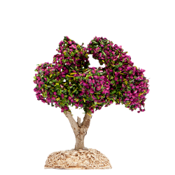 LILAS ROUGE pour 4cm