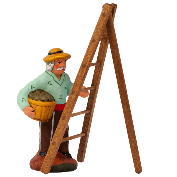 Picker of olives and his ladder