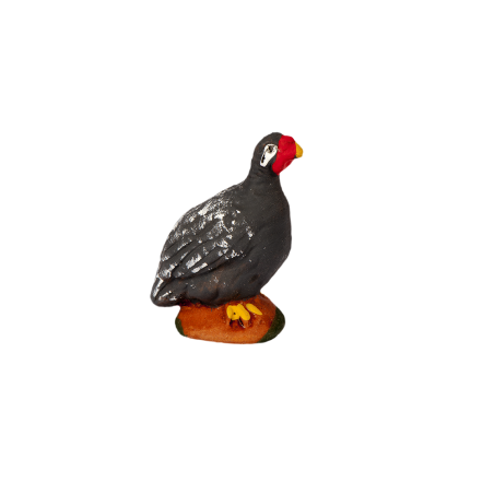 Guinea fowl